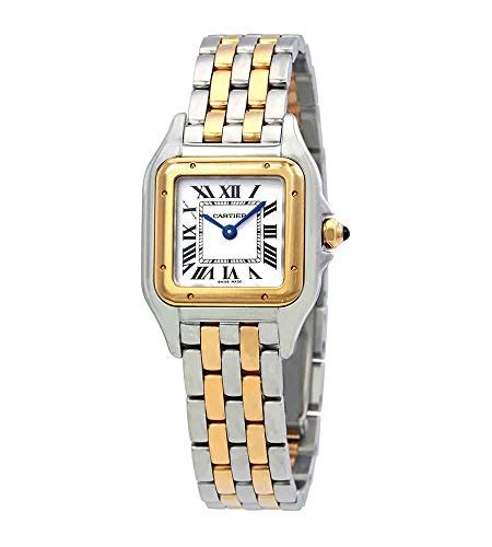 cartier santos demoiselle vs panthere